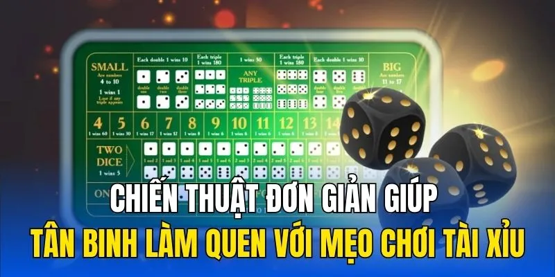 Chiến thuật đơn giản giúp tân binh làm quen với mẹo chơi tài xỉu